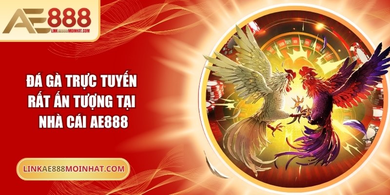 Đá gà trực tuyến rất ấn tượng tại nhà cái AE888