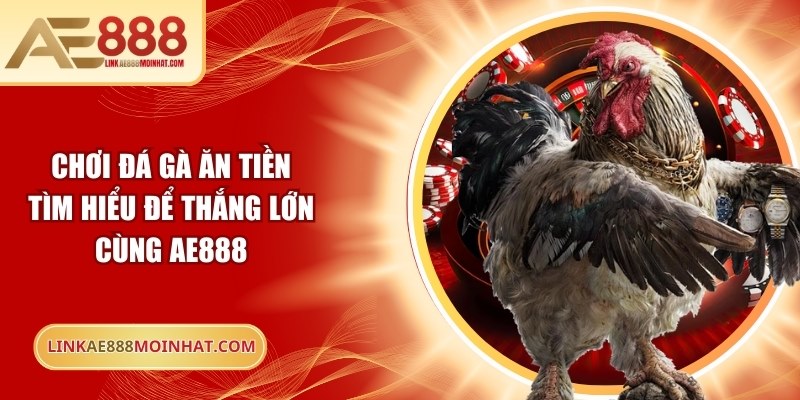 Chơi đá gà ăn tiền