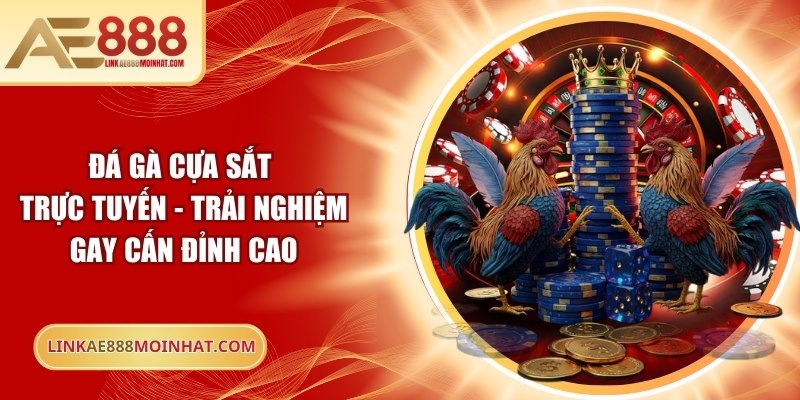 Đá gà cựa sắt trực tuyến